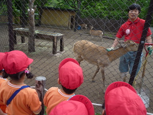 円山動物園⑥